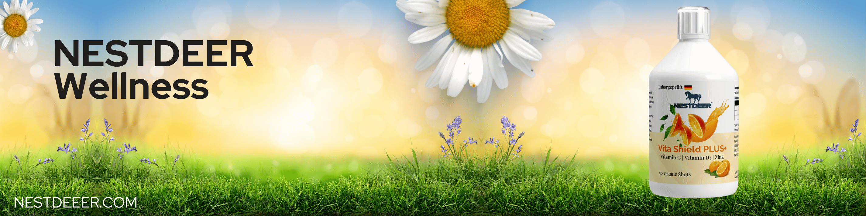 The Morning Routine That Sets the Tone for a Stress-Free Day | NESTDEER Wellness