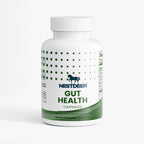 Gut Health