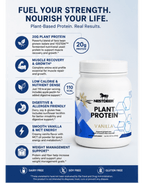 NESTDEER™ Plantaardig Eiwit (Vanille)