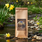 Mushroom Coffee Fusion - Lion’s Mane & Chaga 16oz