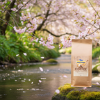 Mushroom Coffee Fusion - Lion’s Mane & Chaga 16oz